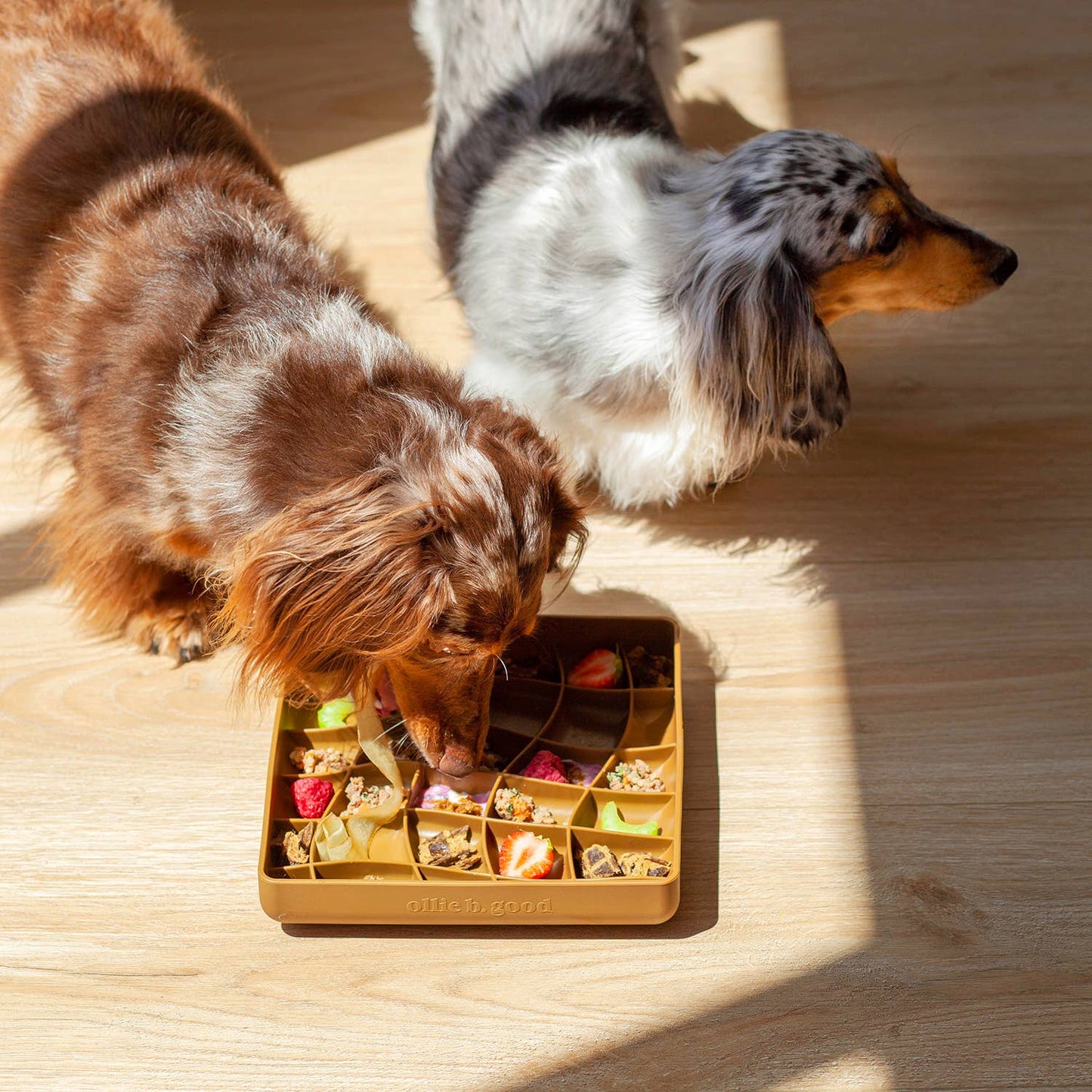 Wavies Slow Feeder Bowl - Carob