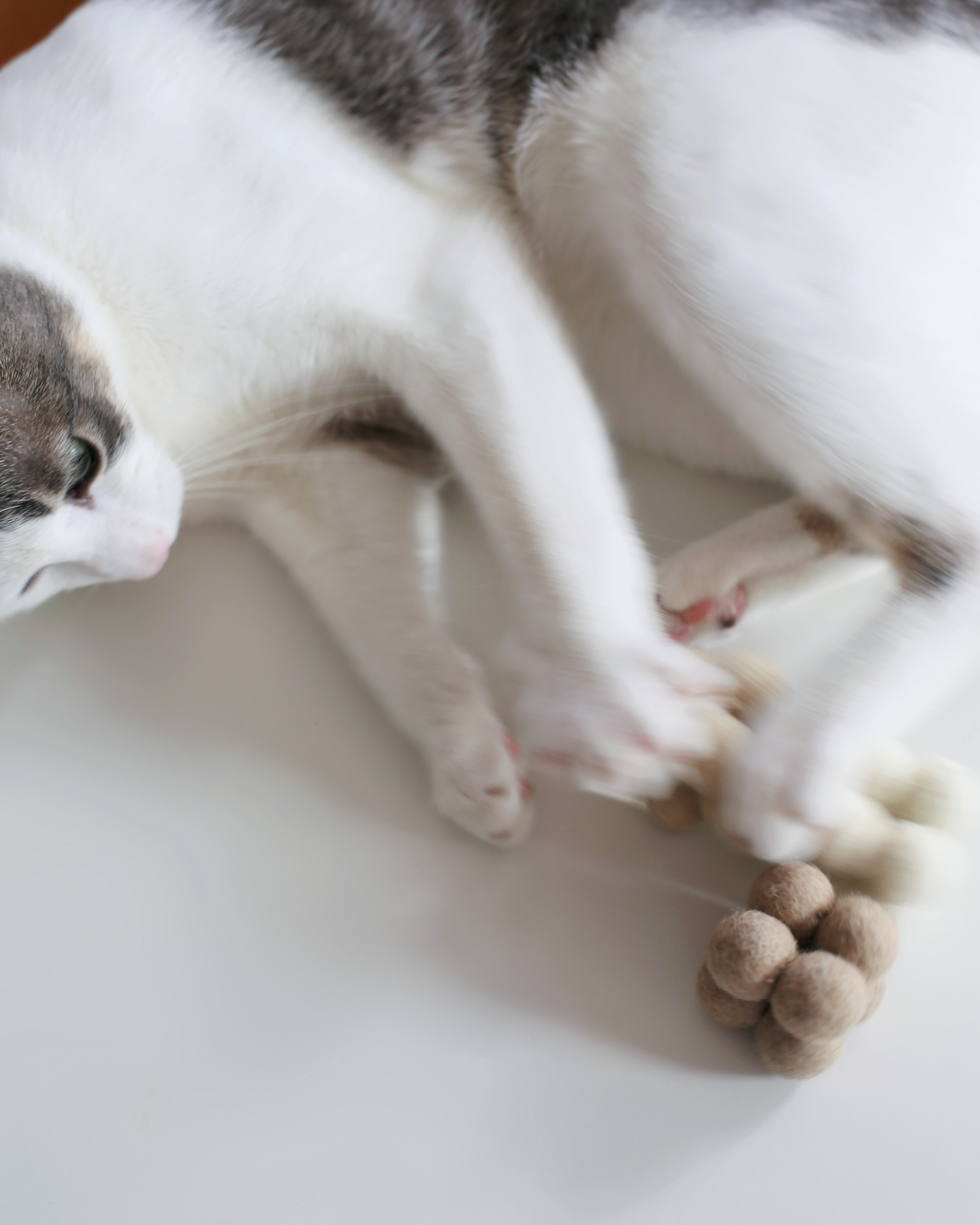 Pearl Enrichment Catnip Toys