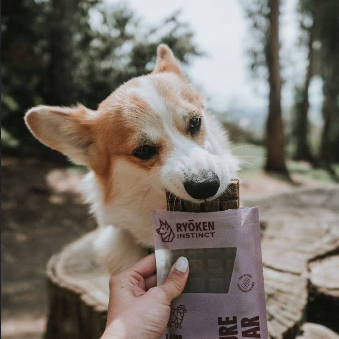 Lamb Energy & Recovery Bar - Active Dogs