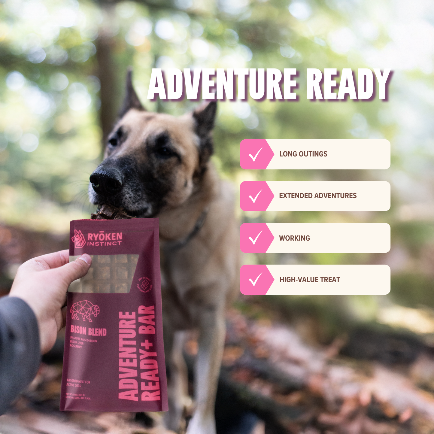Bison Energy & Recovery Bar - Active Dogs