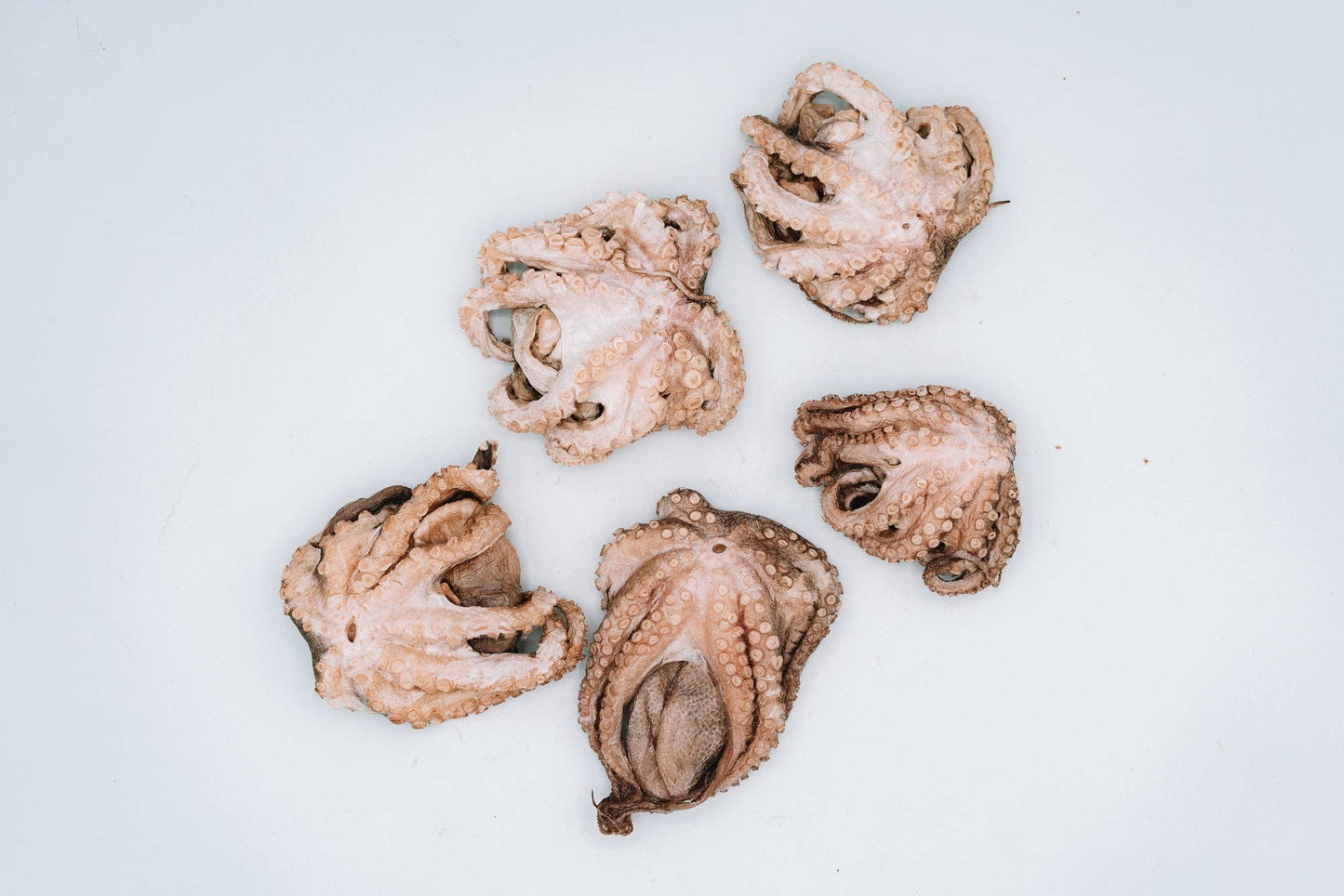 Freeze-Dried Octopus (Wild-Caught)