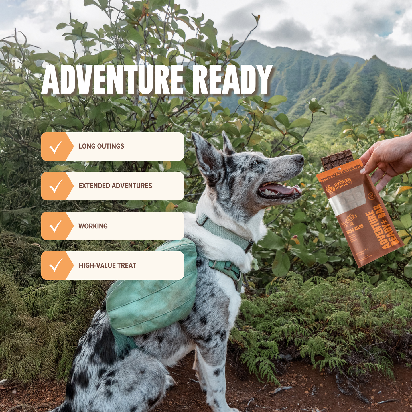 Boar Energy & Recovery Bar - Active Dogs