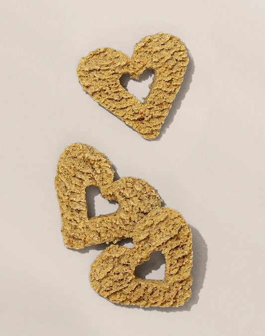 Dashi Delight: Kelp + Tuna Treat for Heart Health