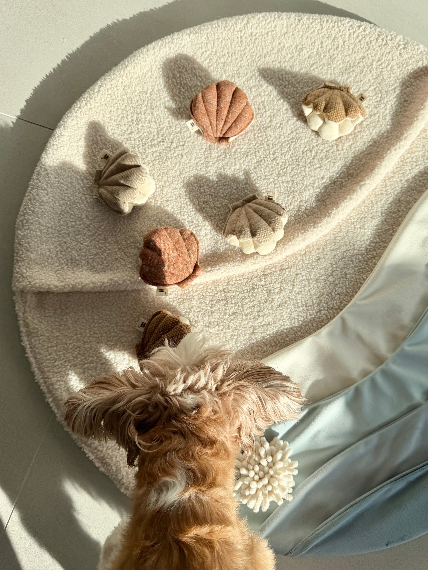 Clam Set - Dog