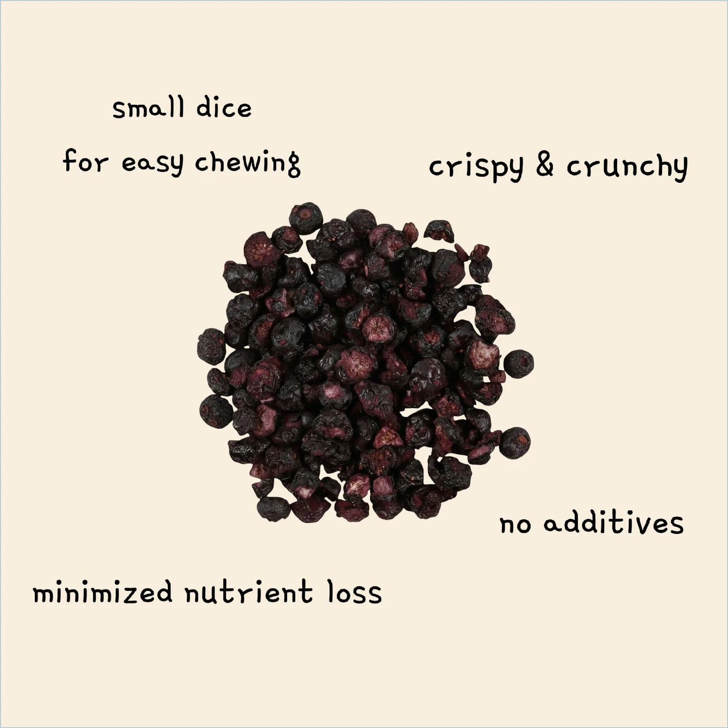 Freeze-Dried Tiny Blueberry Bites