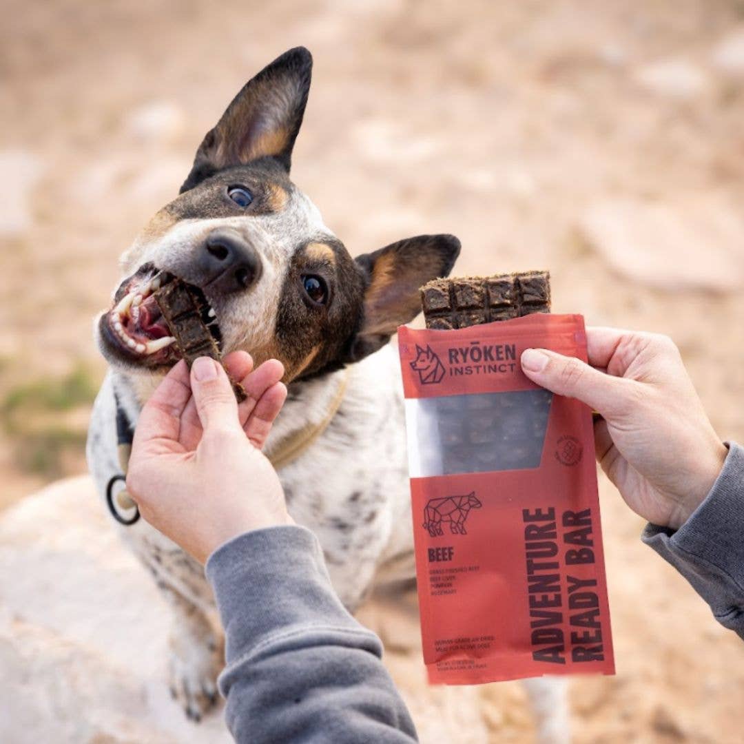 Beef Energy & Recovery Bar - Active Dogs