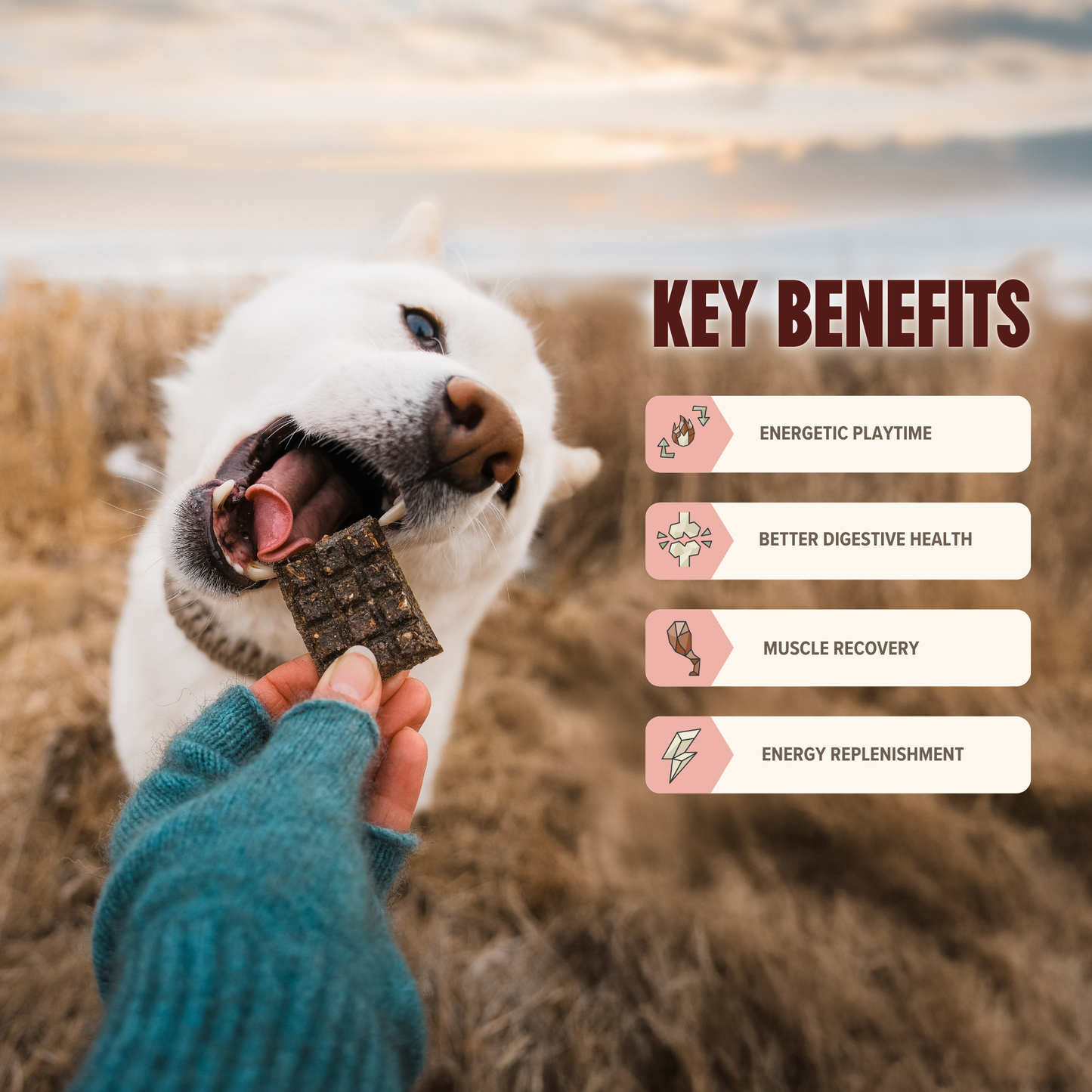 Beef Mini Training Treats - Low Calorie