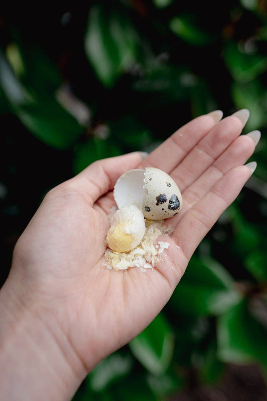 Whole Quail Egg