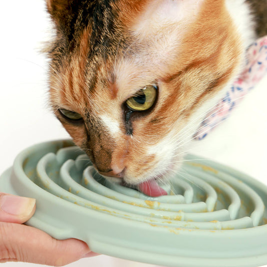 Twirl: Easy Clean Lick Mat