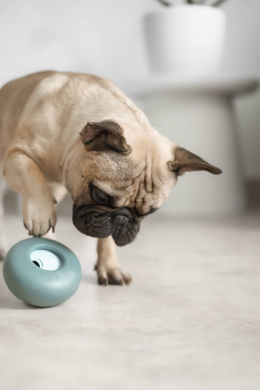 Pebble Puzzle Toy: Slow Feeder + Treat Dispenser