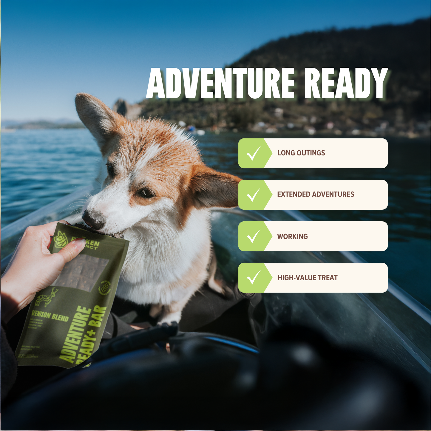 Venison Energy & Recovery Bar - Active Dogs