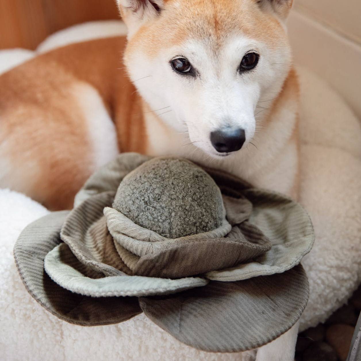 Cabbage Pop Enrichment Snuffle Toy