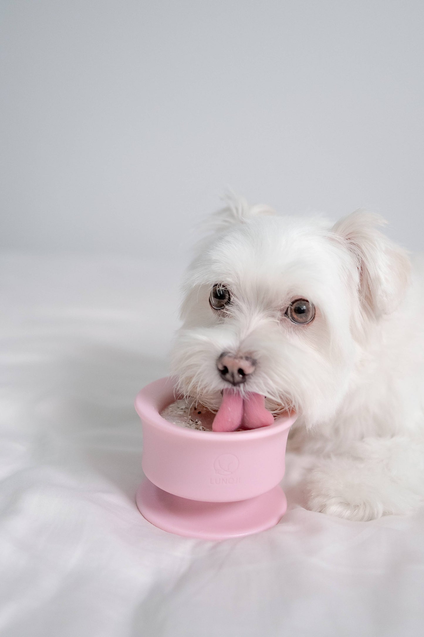 CHEWDEN Trove: Enrichment Slow Feeder