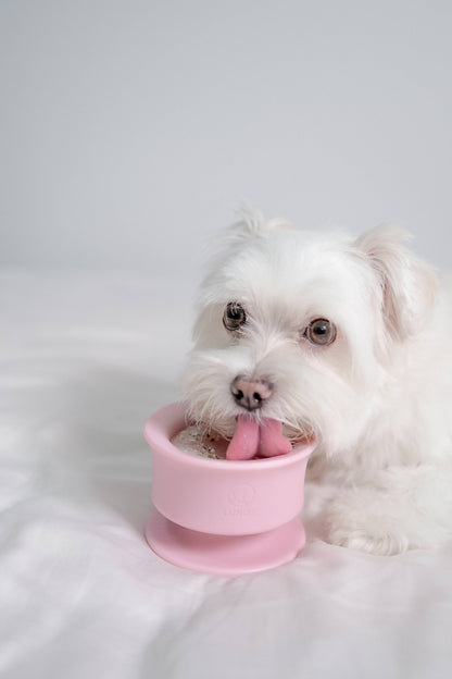 CHEWDEN Trove: Enrichment Slow Feeder