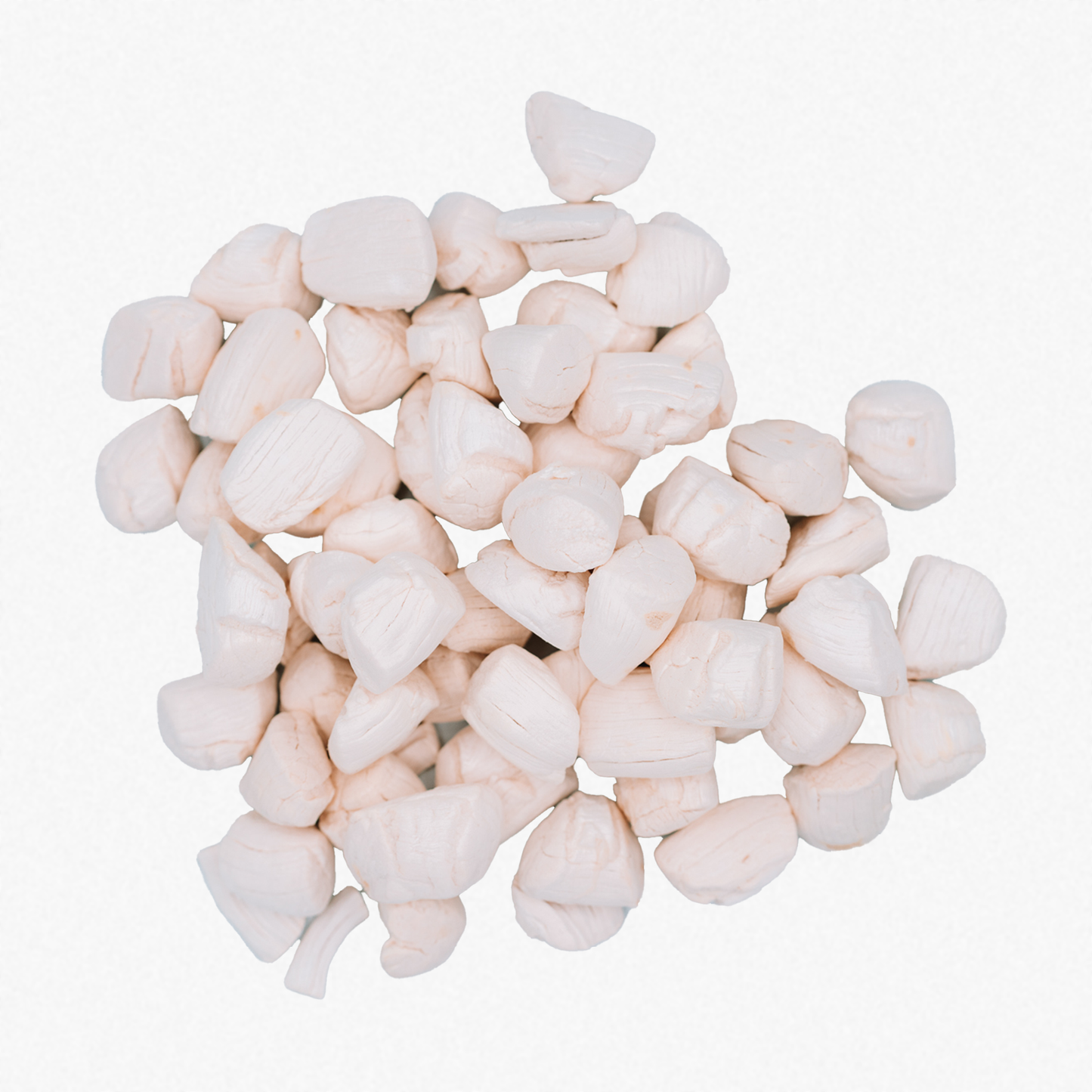 Freeze-Dried Scallops