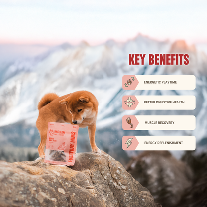 Rabbit Mini Training Treats - Low-Calorie