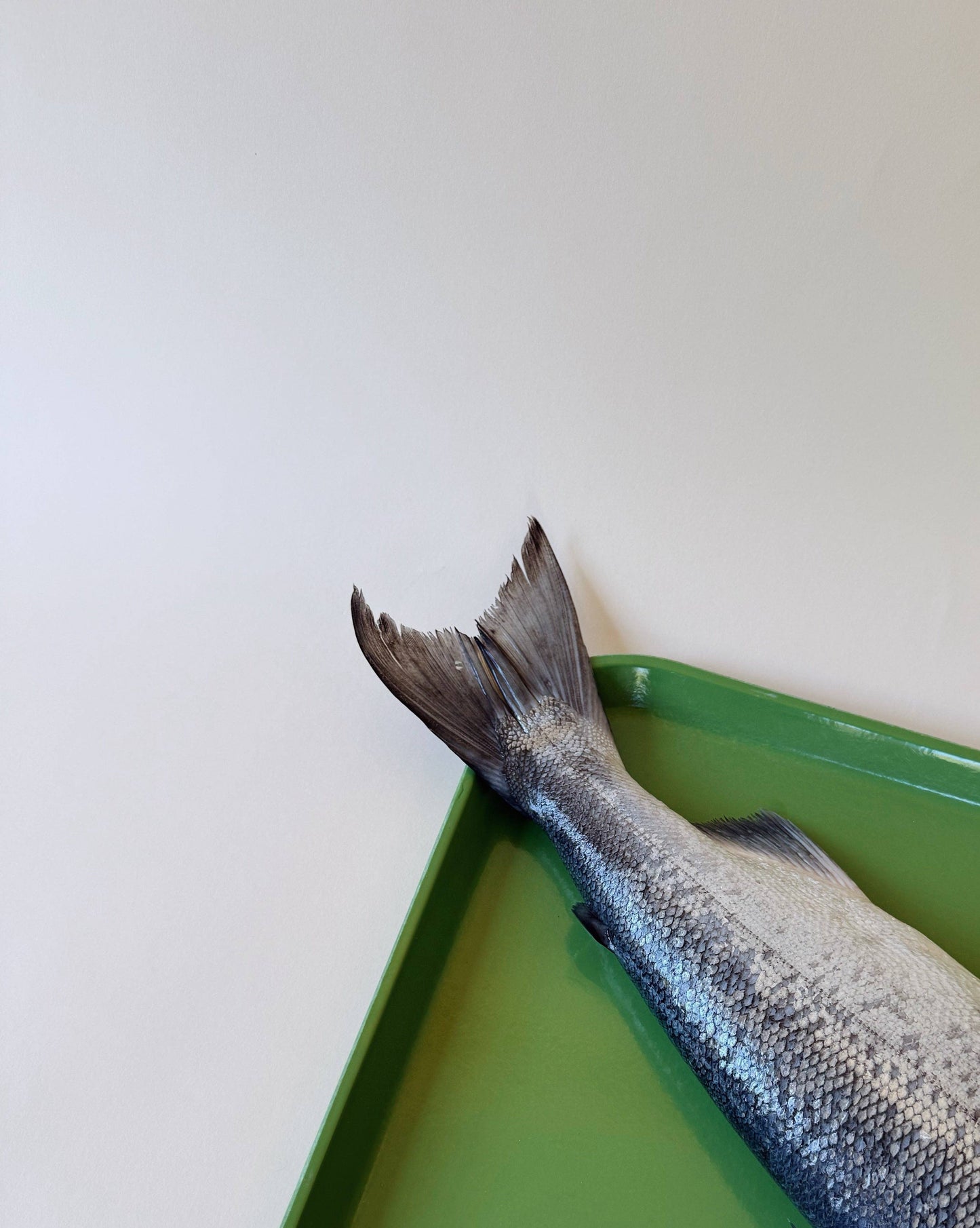 Freeze-Dried Wild Salmon Tails