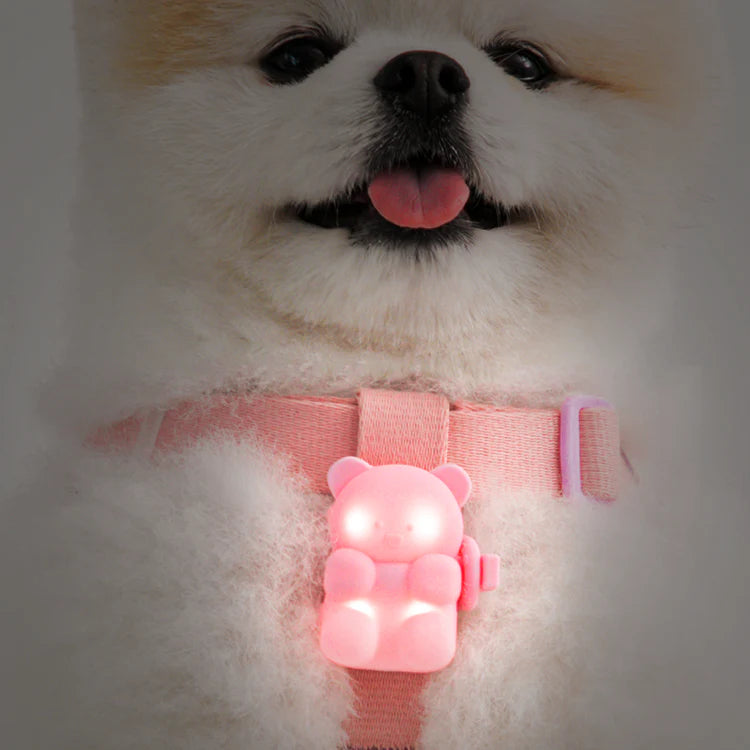 Jelly Bear LED Rechargeable Blinker