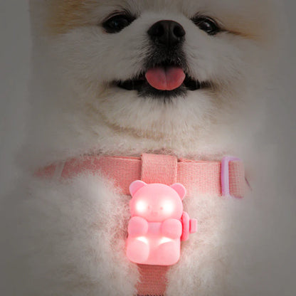 Jelly Bear LED Rechargeable Blinker