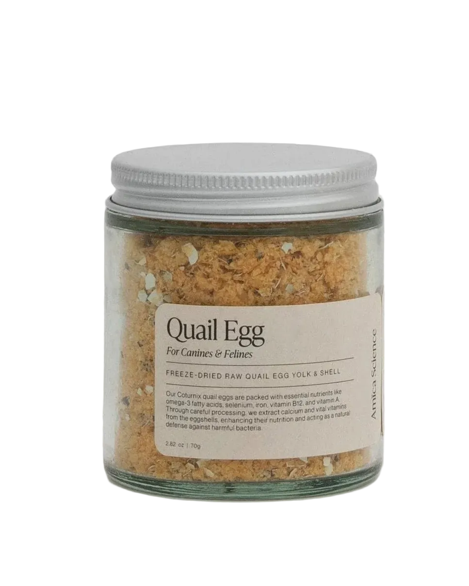 Quail Egg