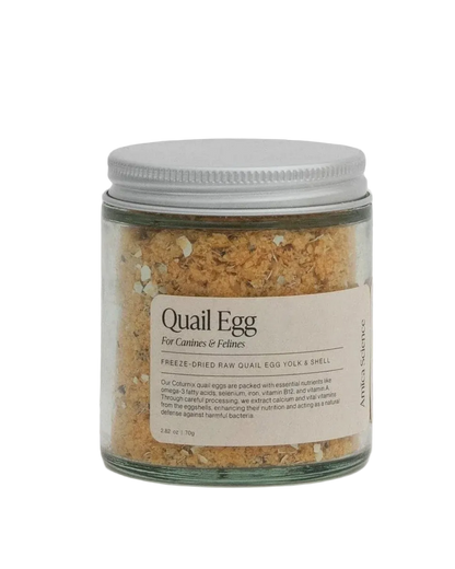 Quail Egg