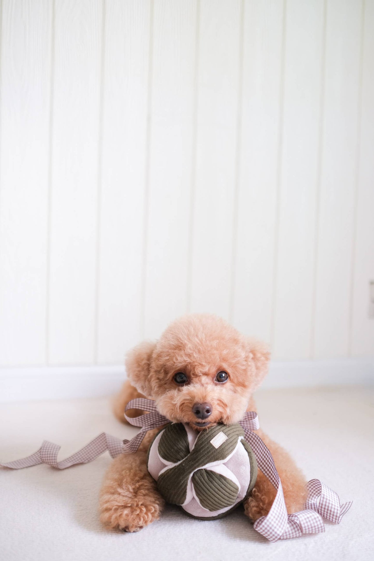 MONTI Enrichment Snuffle Toy