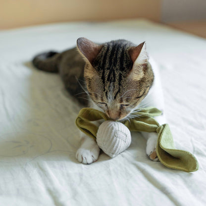 Catnip Radish Toy