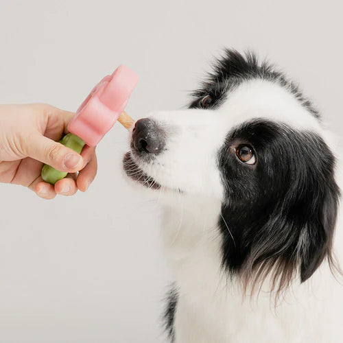 Easy Bite Grip Chew Holder