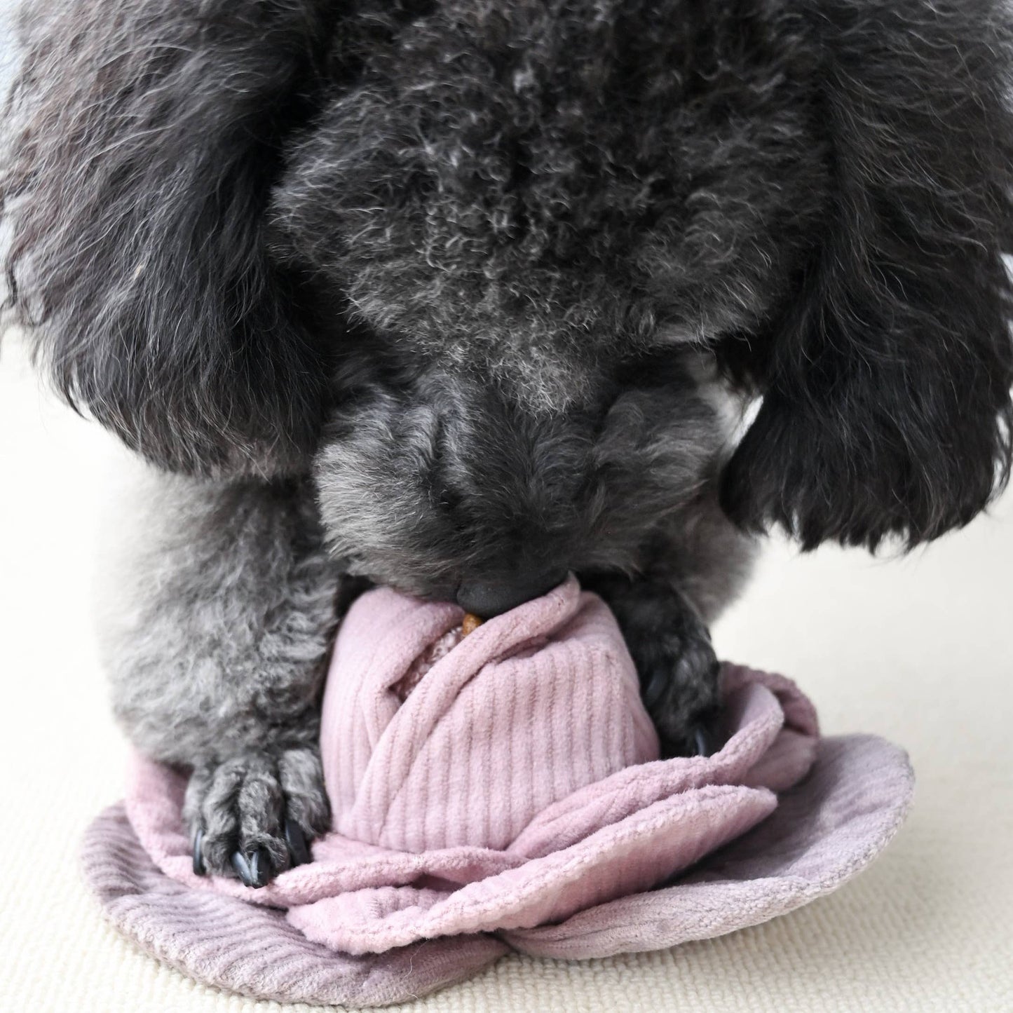 Cabbage Pop Enrichment Snuffle Toy