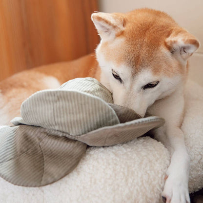 Cabbage Pop Enrichment Snuffle Toy