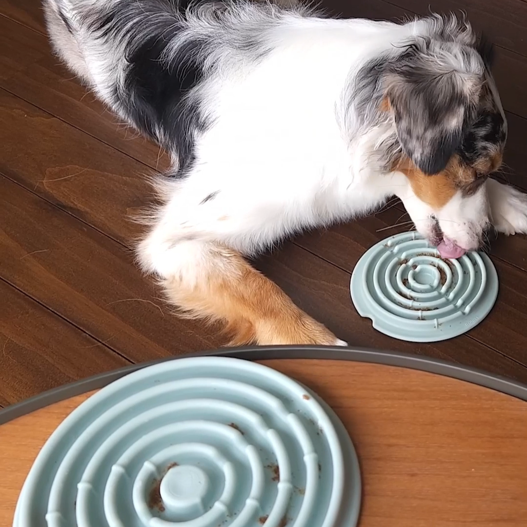Twirl: Easy Clean Lick Mat