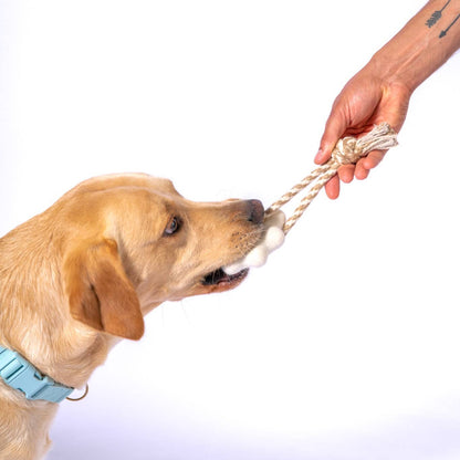 Wheely Good Time Felt Toy