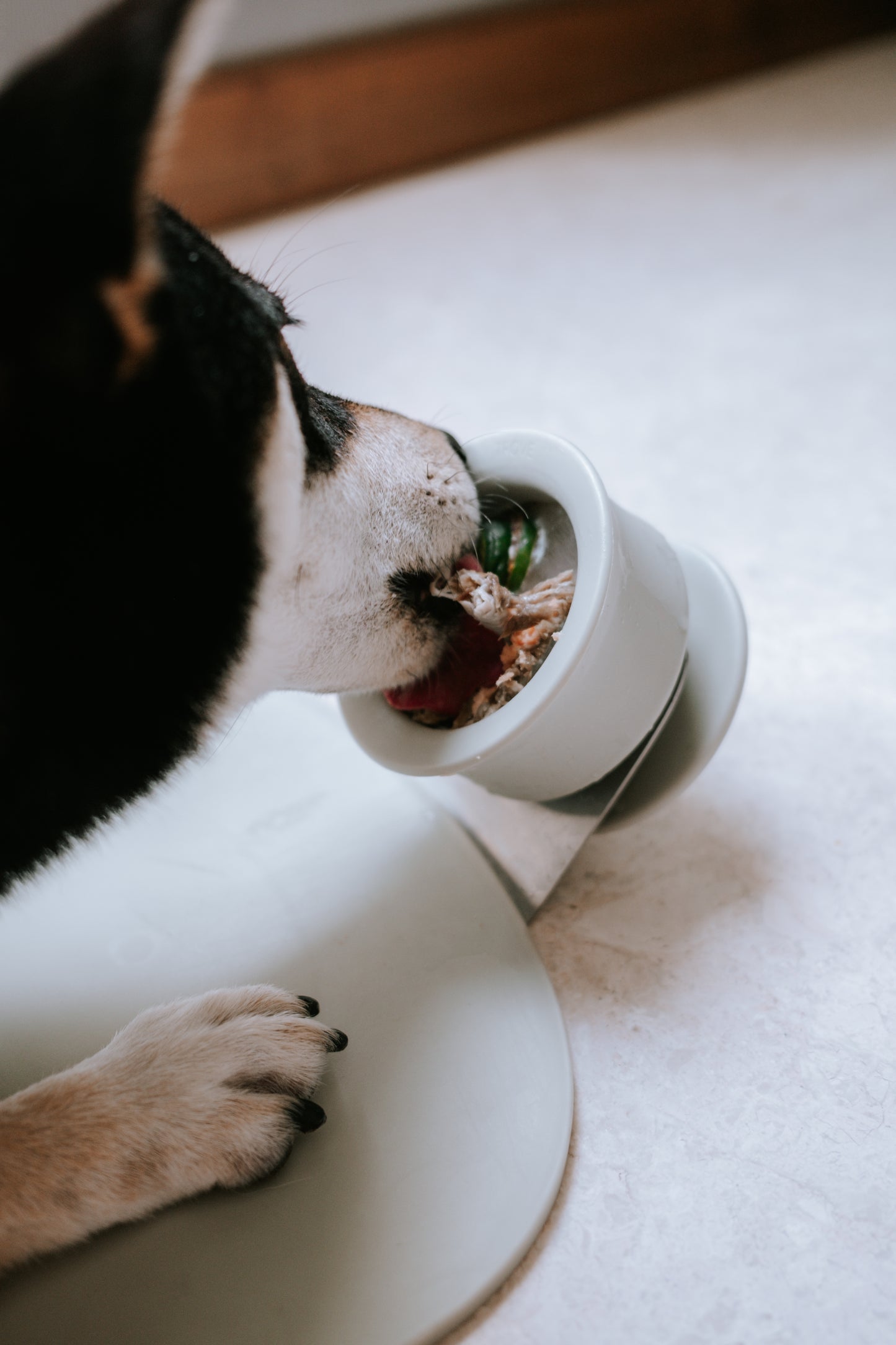 CHEWDEN Enrichment Set (Bundle + Save $10)