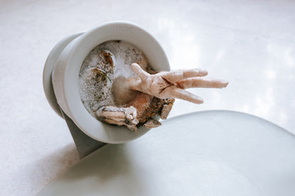 CHEWDEN Enrichment Set (Bundle + Save $10)