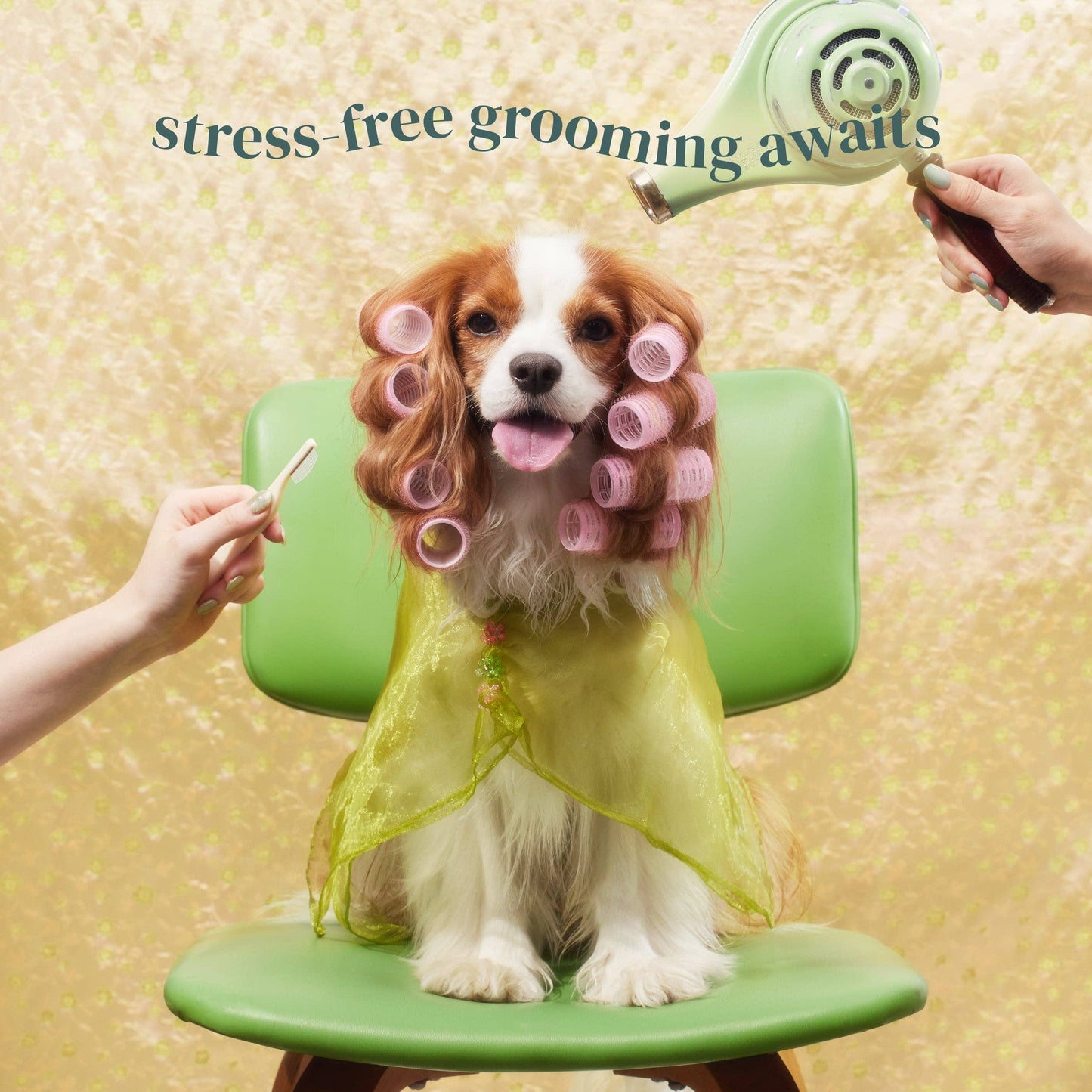 Pet Facial & Eye Comb