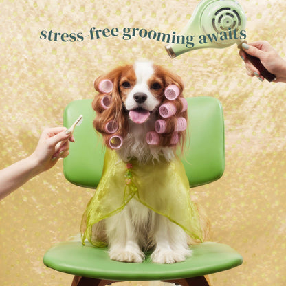 Pet Facial & Eye Comb