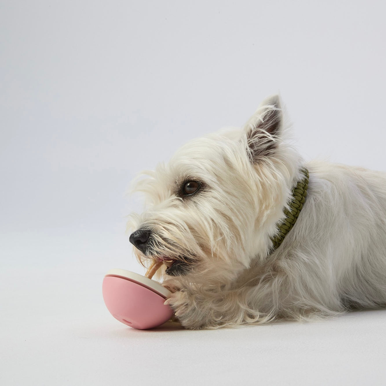 Asobone Chew Holder - MADE IN JAPAN