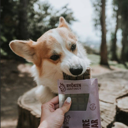 Lamb Treat & Snack Bar for Active Dogs - Energy & Recovery