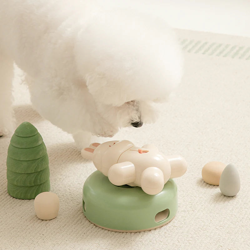 Braining Spin + Snack Rabbit Slow Feeder