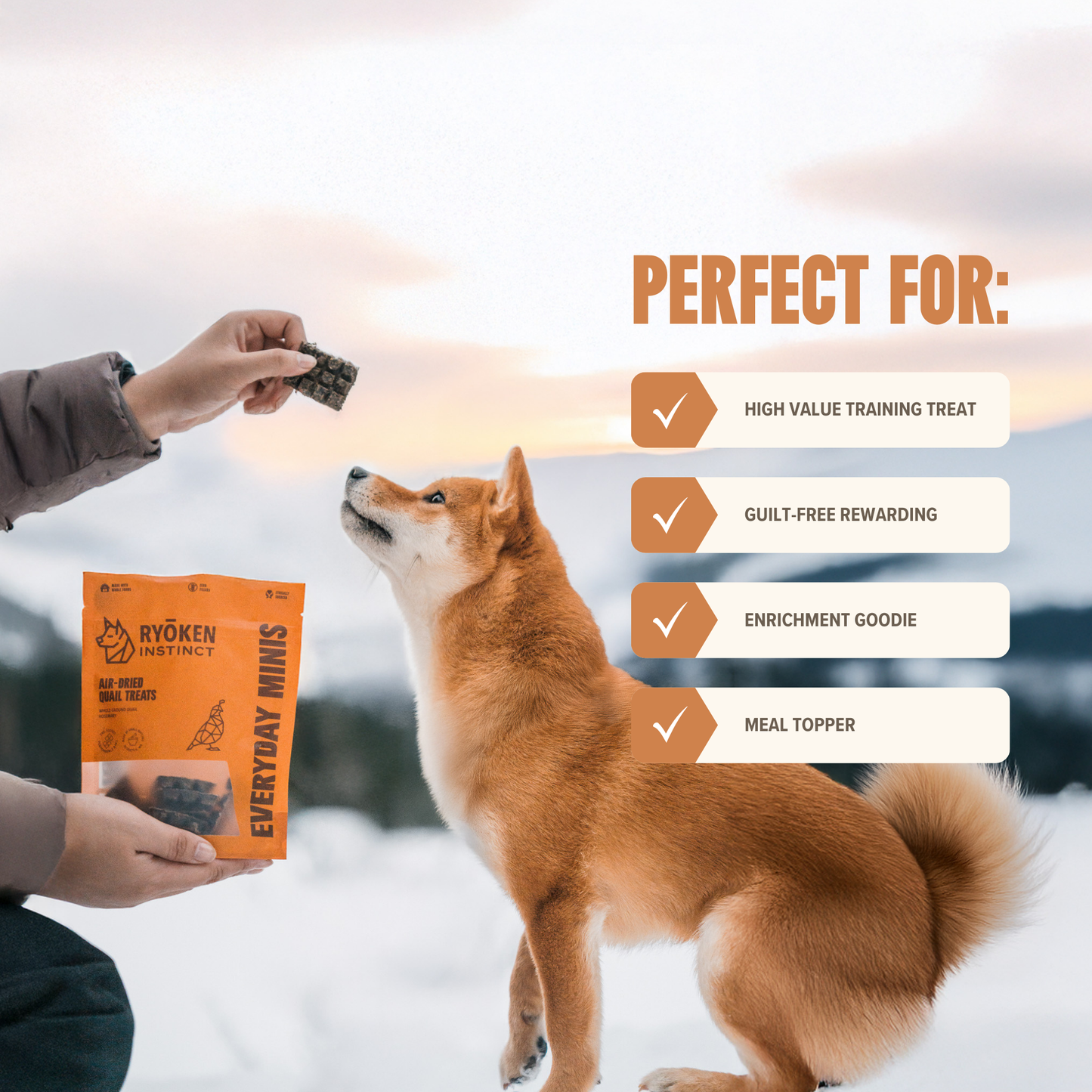 Quail Mini Training Treats