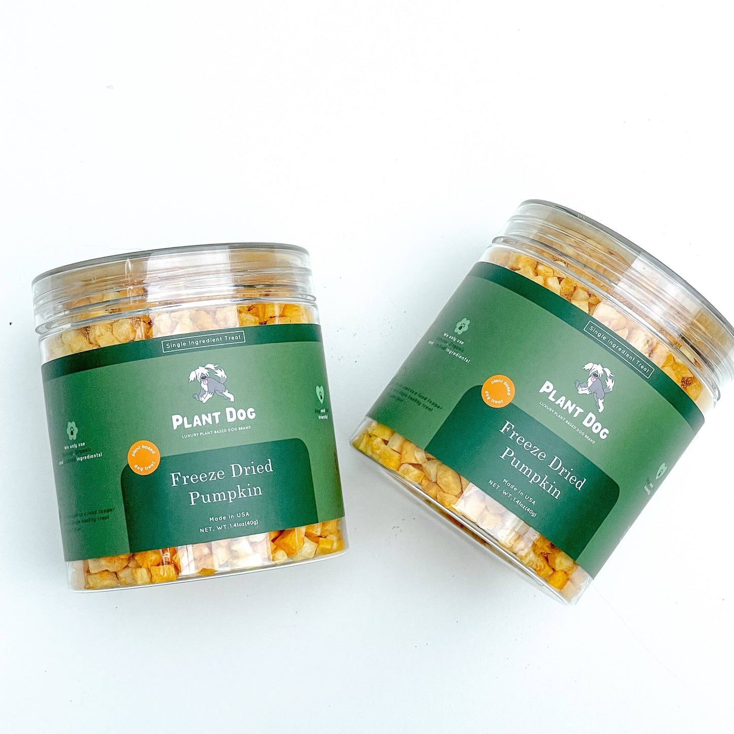 Freeze Dried Pumpkin