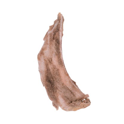 Freeze-Dried Bison Scapula Chew [Limited-Release]