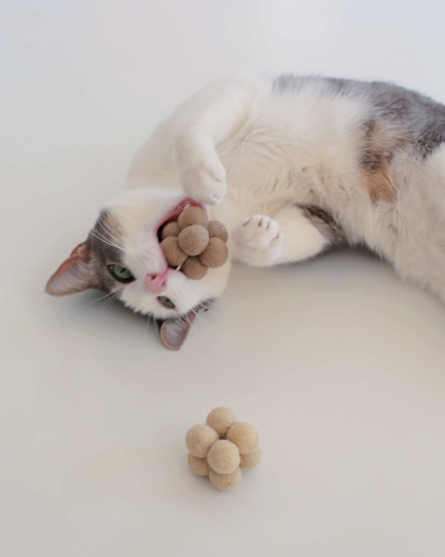 Pearl Enrichment Catnip Toys