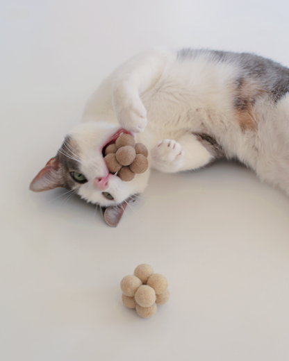 Pearl Enrichment Catnip Toys