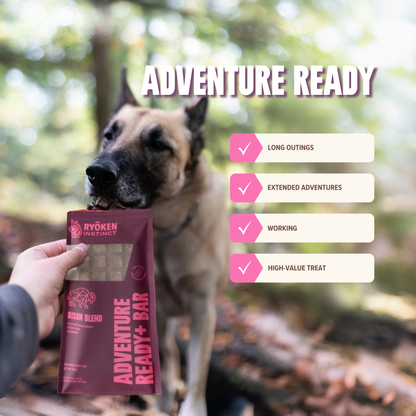 Bison Energy & Recovery Bar - Active Dogs