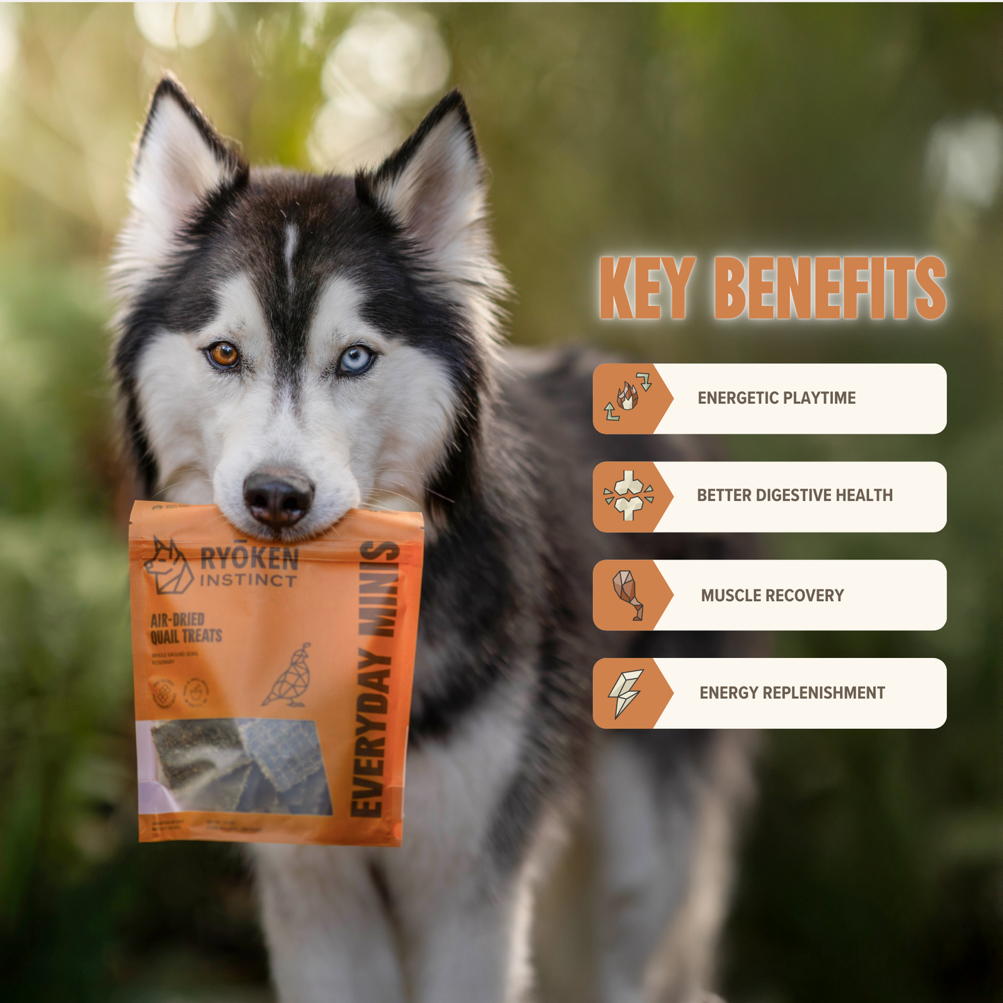 Quail Mini Training Treats