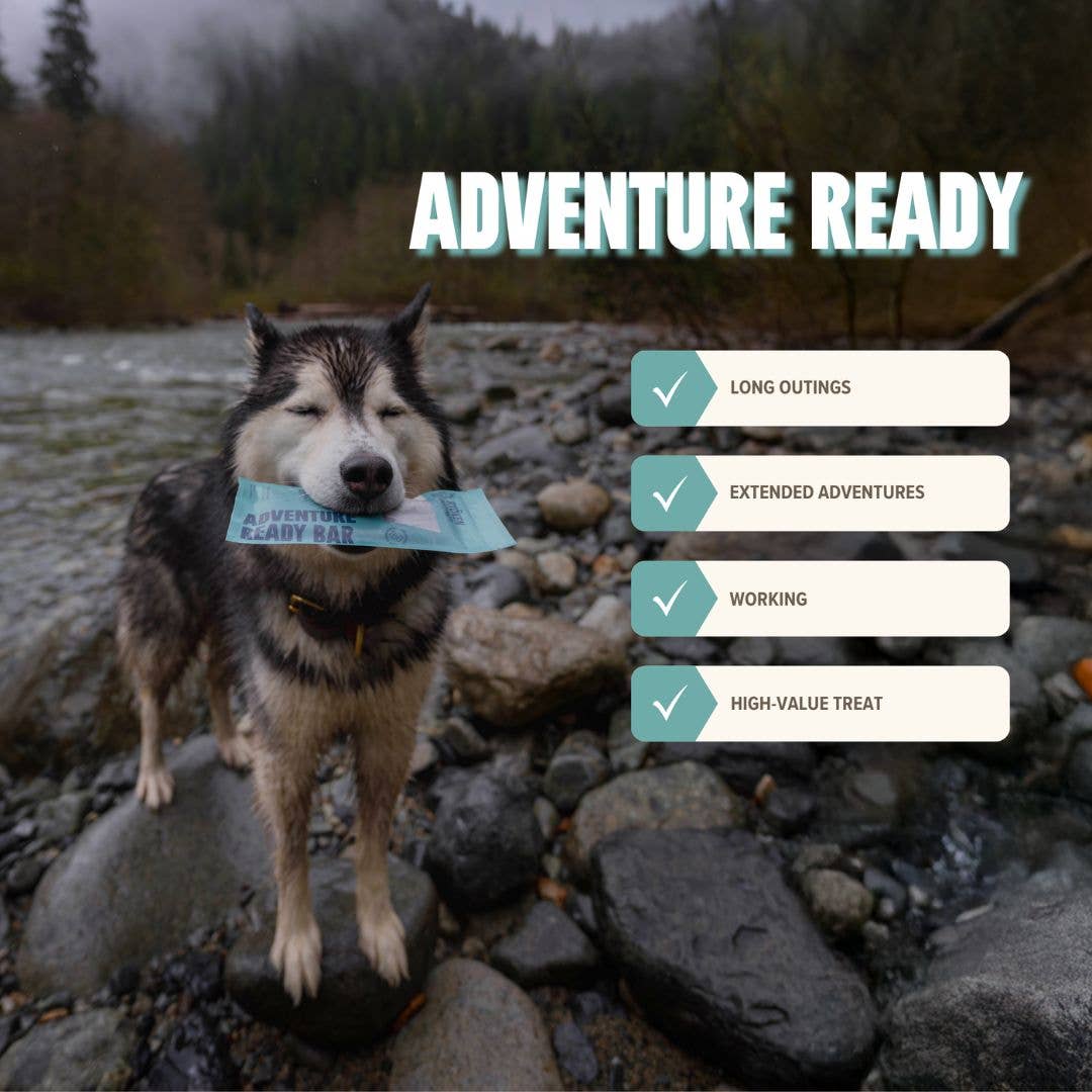 Seafood Energy & Recovery Bar - Active Dogs