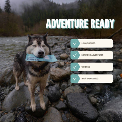 Seafood Energy & Recovery Bar - Active Dogs