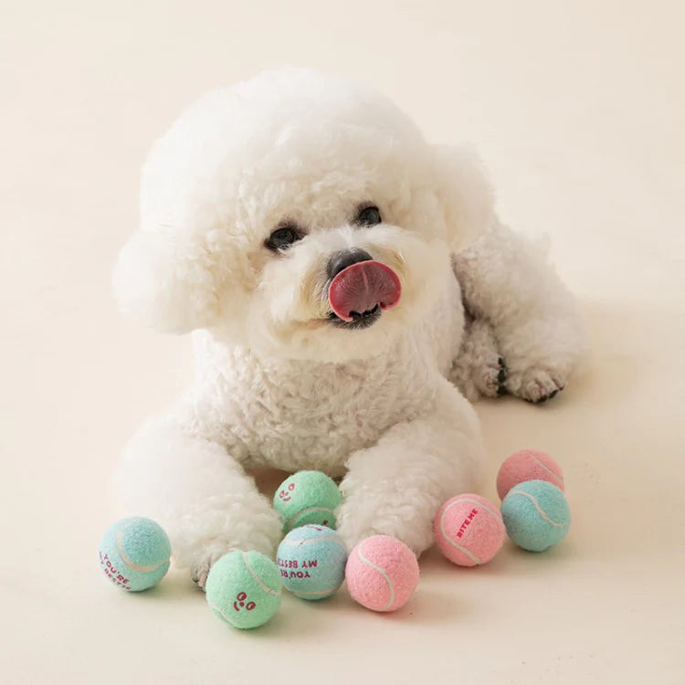 Mini Tennis Balls Set