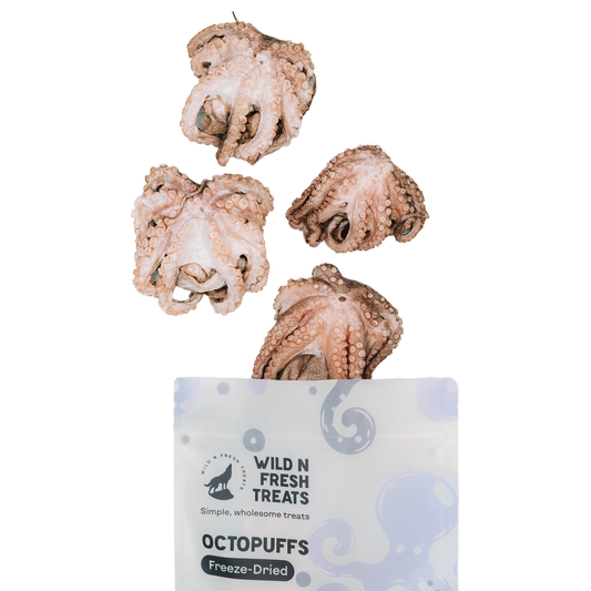 Freeze-Dried Octopus (Wild-Caught)